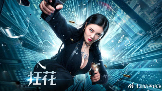 波兰哪里能买到